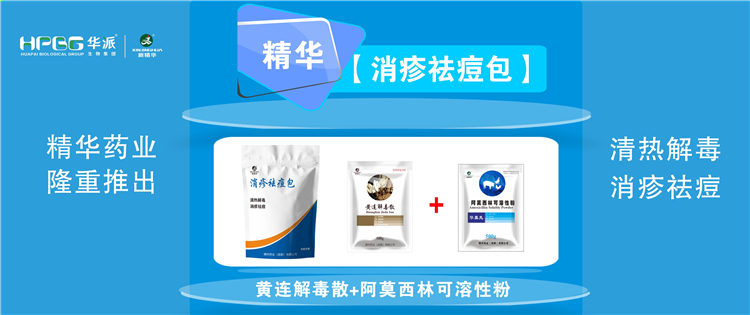 科普：夏秋季节猪湿疹病的防控技术 |【消疹祛痘包】清热解毒、消疹祛痘，防控六畜湿疹病首。