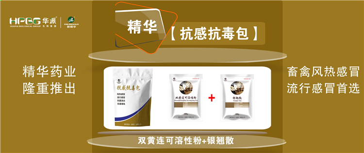科普：几种常见畜禽感冒与盛行性感冒的防控 |【抗感抗毒包】抗菌消炎、解热排毒、抗毒增免，畜禽风热感冒、盛行感冒首选!