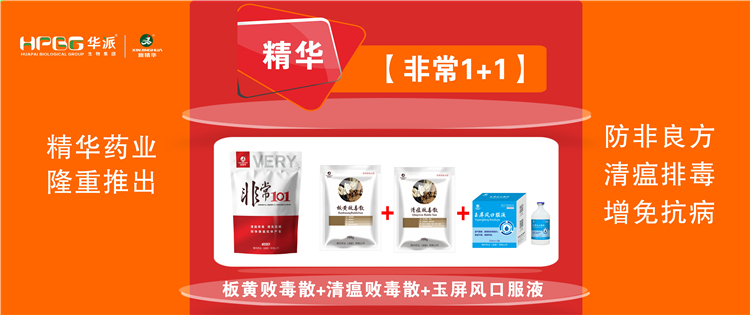 科普：非洲猪瘟防控措施 |【极度1+1】防非良方, 清瘟排毒、增免抗病，加快猪瘟抗体产生!