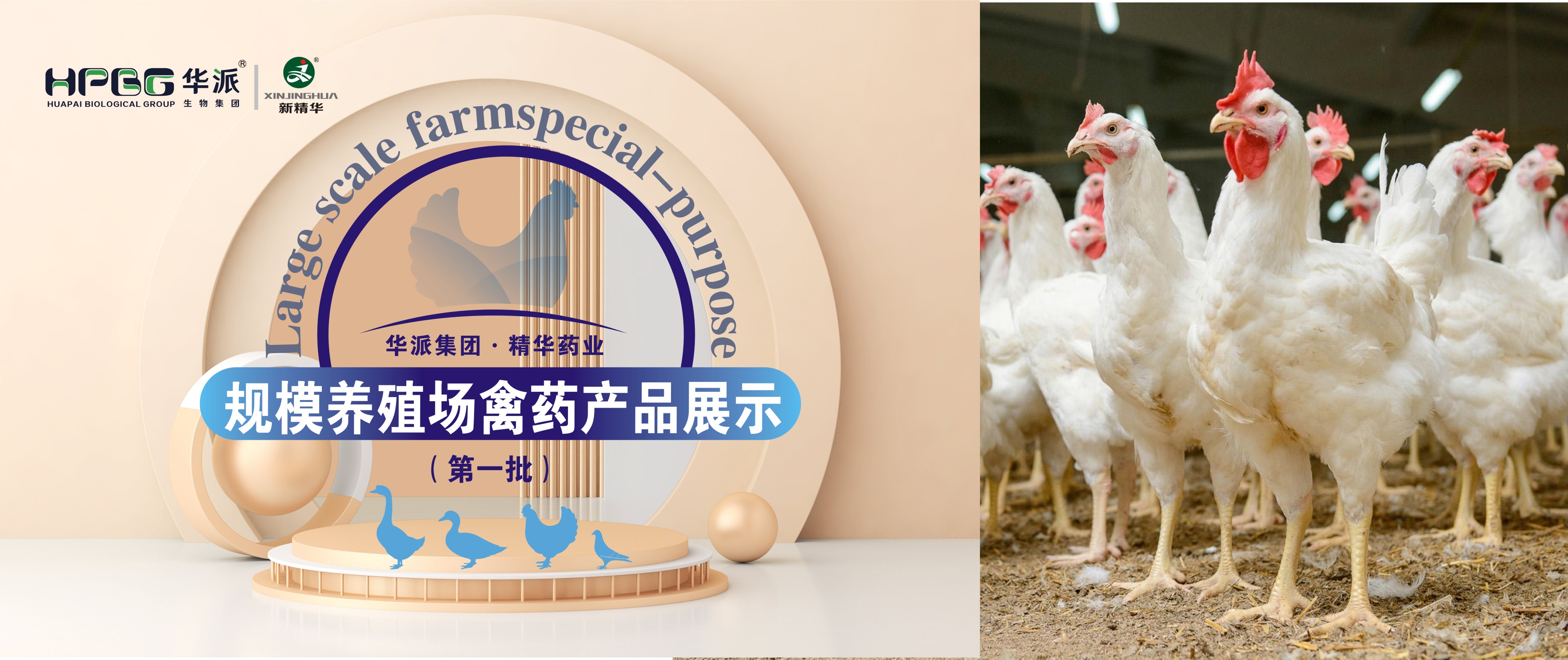 规；吵∽ㄓ | 华派集团&middot;豪门国际官网药业规；吵∏菀┎氛故荆ǖ谝慌